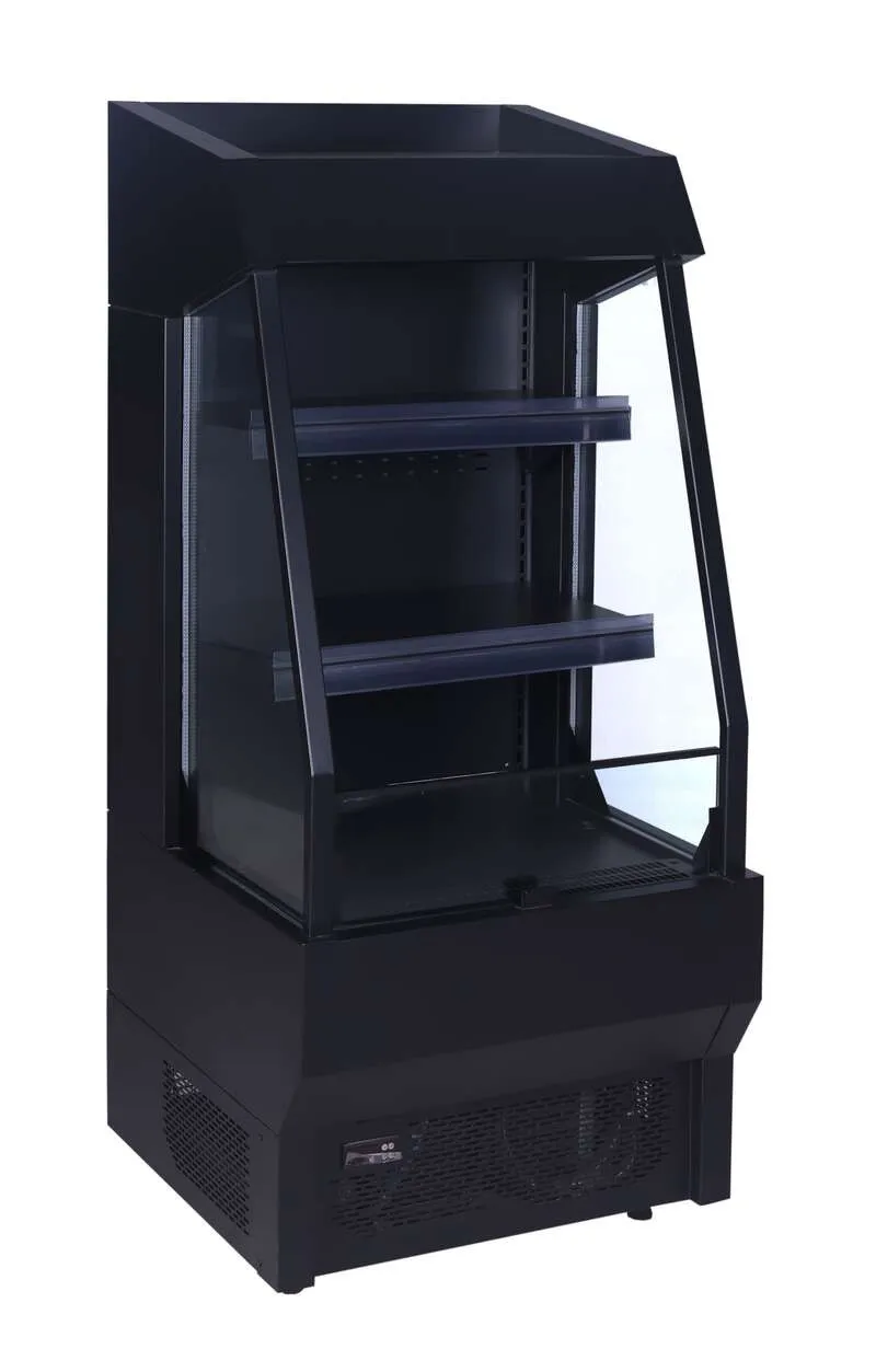 Vitrine Réfrigérée Positive - 165 L