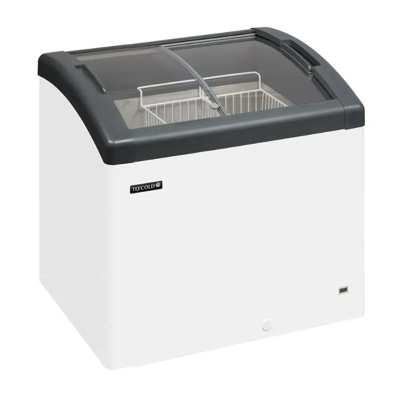 Congélateur à Crème Glacée - 161 L