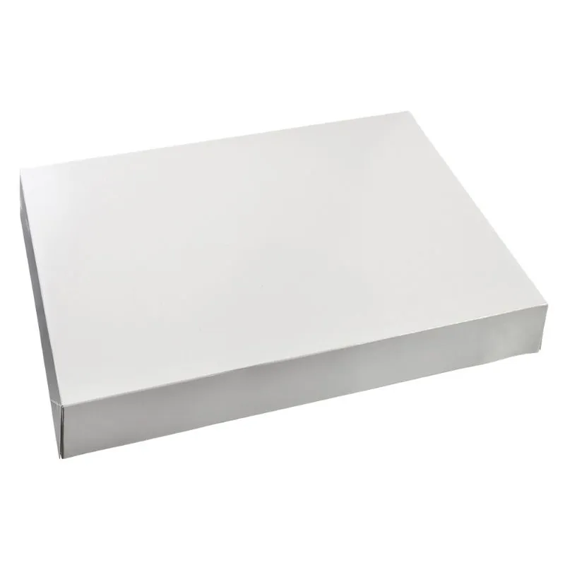 Kartonnen doos met vernis voor catering dienblad - Set van 100