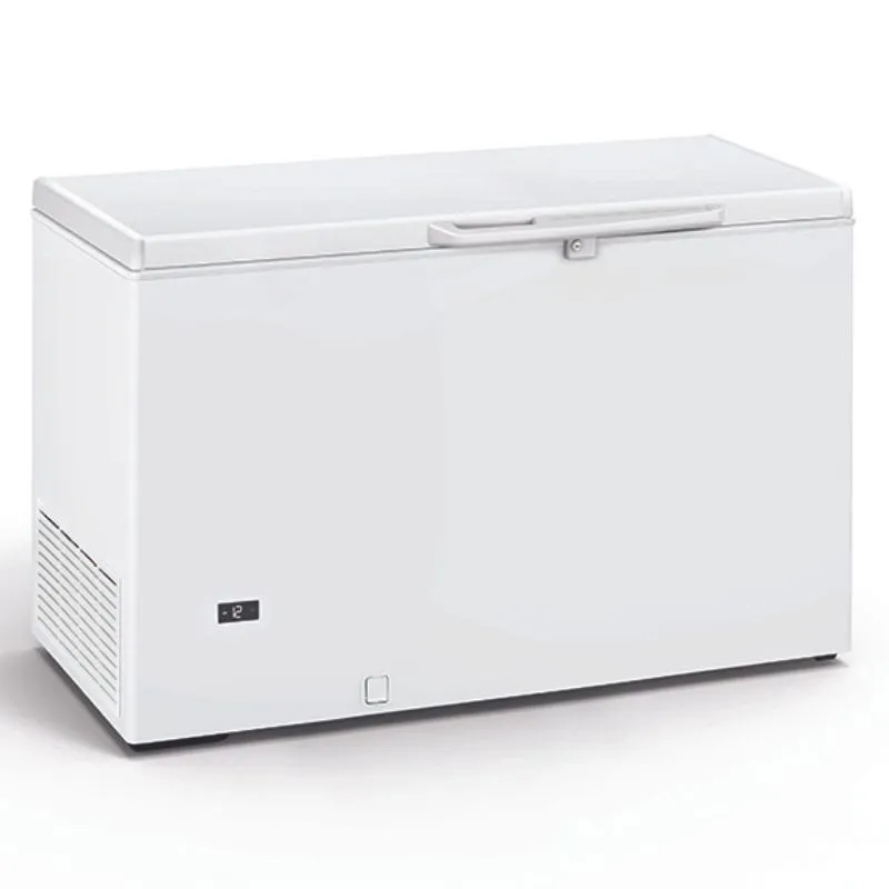 Congélateur Coffre Professionnel - 370 L
