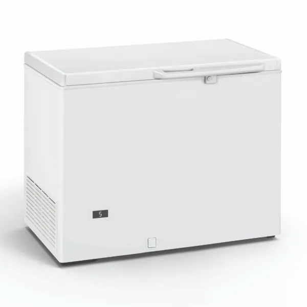 Diepvrieskist Professioneel - 290 L