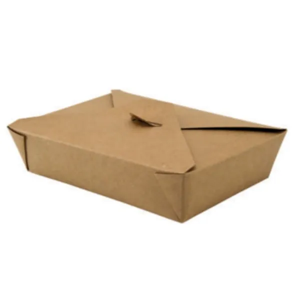 Mittagessenbox Kleinformat - Deckel mit 4 Laschen - Umweltfreundlich - Packung mit 50